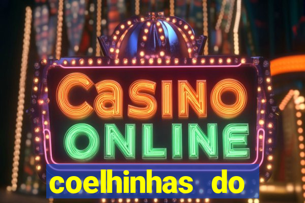 coelhinhas do brasil recife